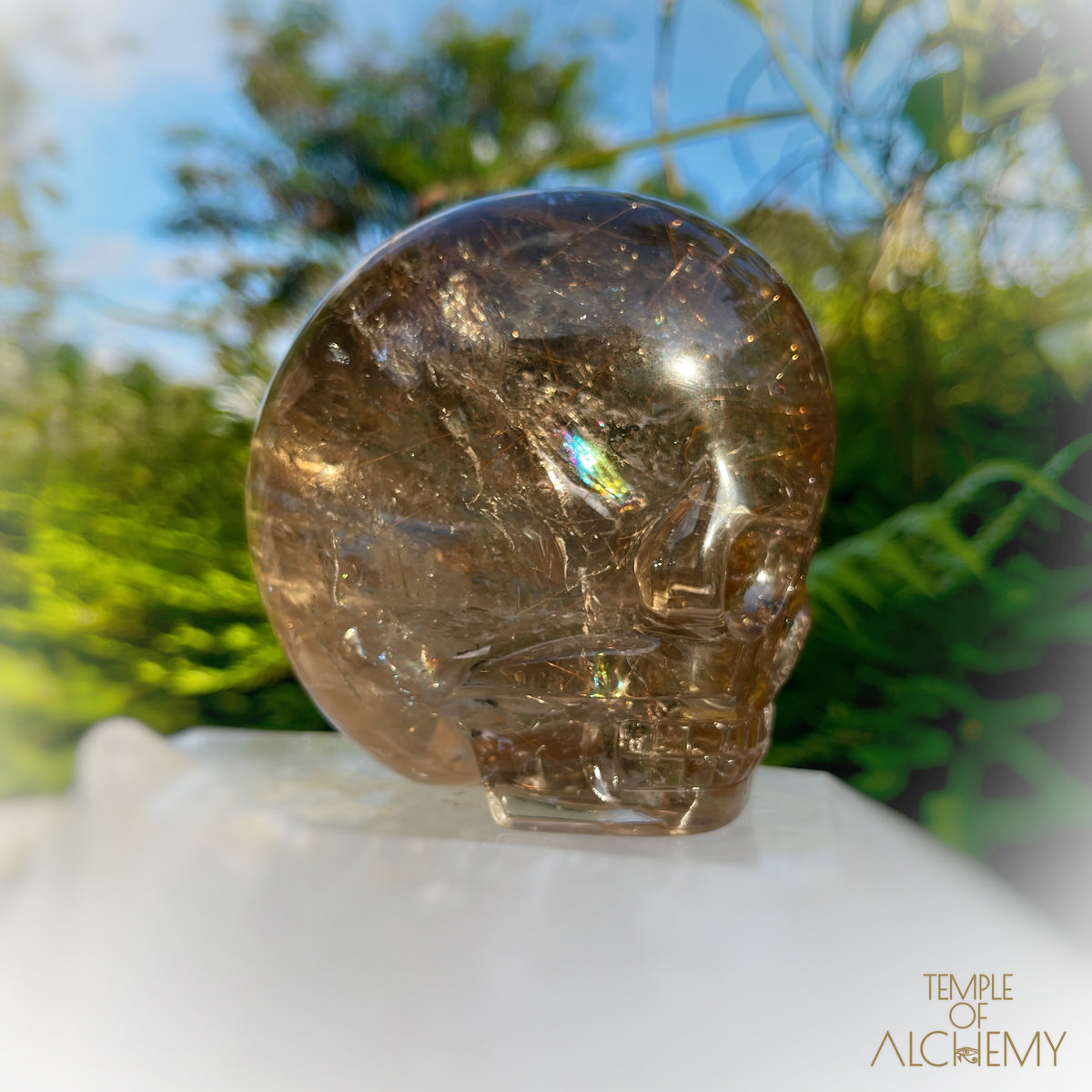 Smoky Citrine x Lodolite x Copper Rutiles