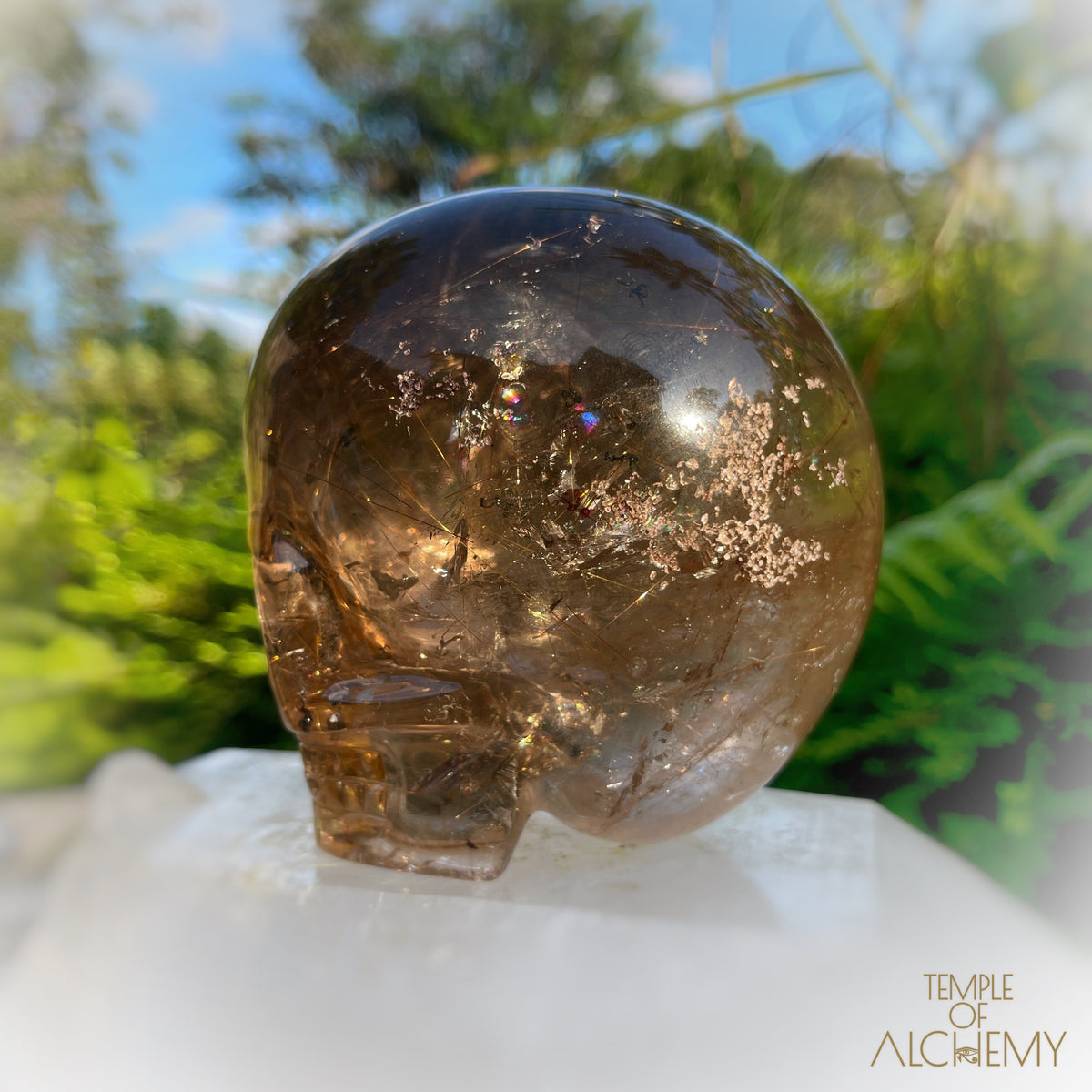 Smoky Citrine x Lodolite x Copper Rutiles