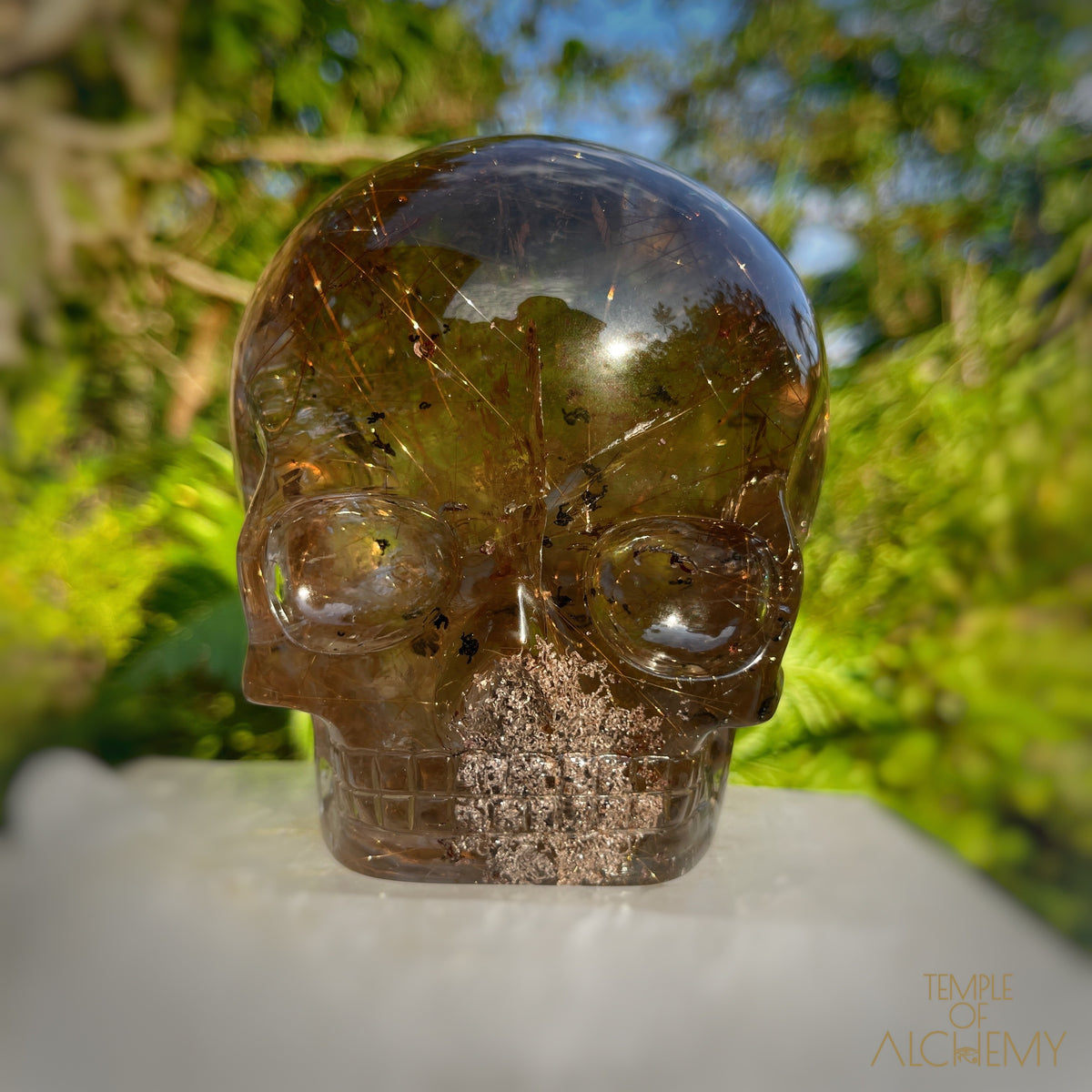 Smoky Citrine x Lodolite x Copper Rutiles