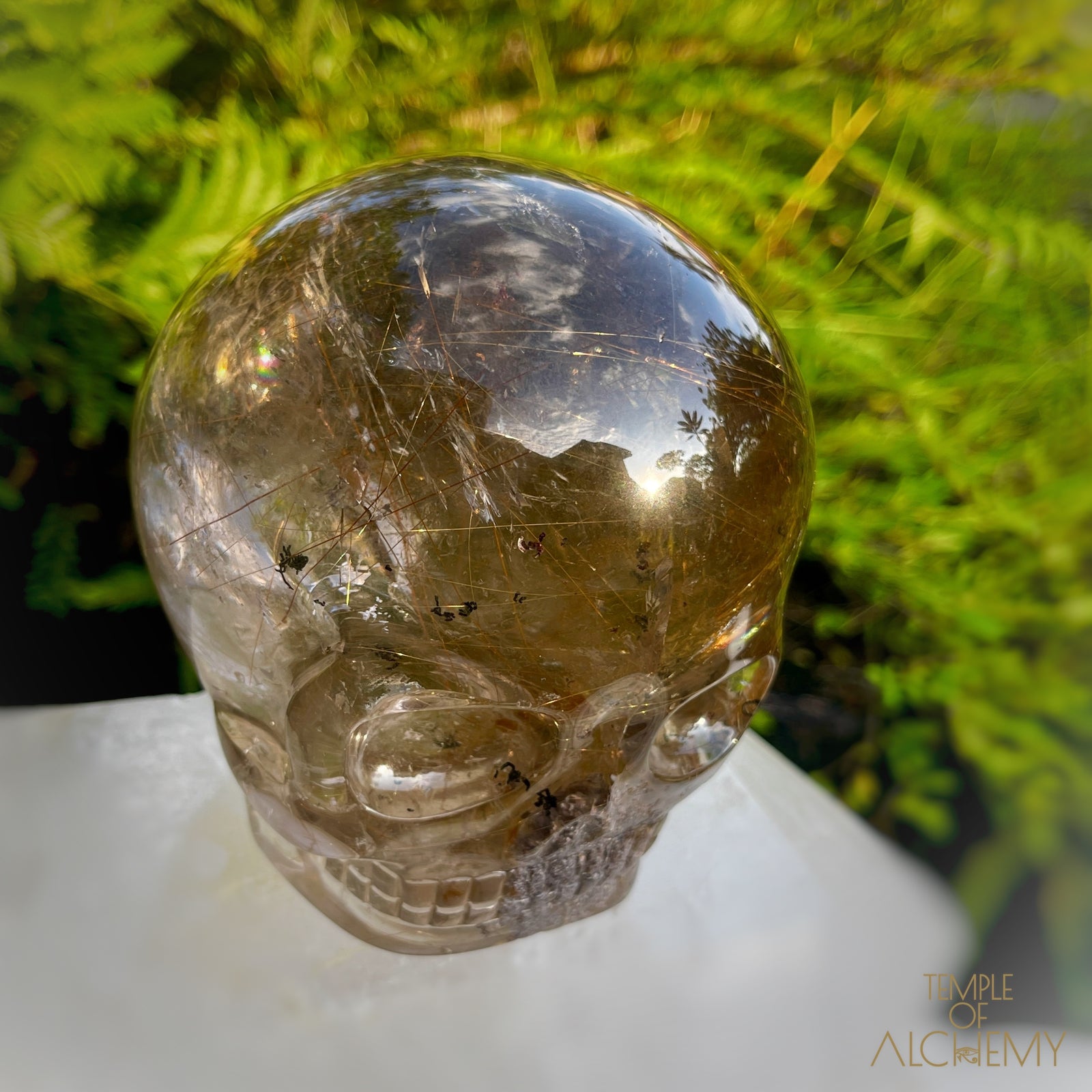 Smoky Citrine x Lodolite x Copper Rutiles