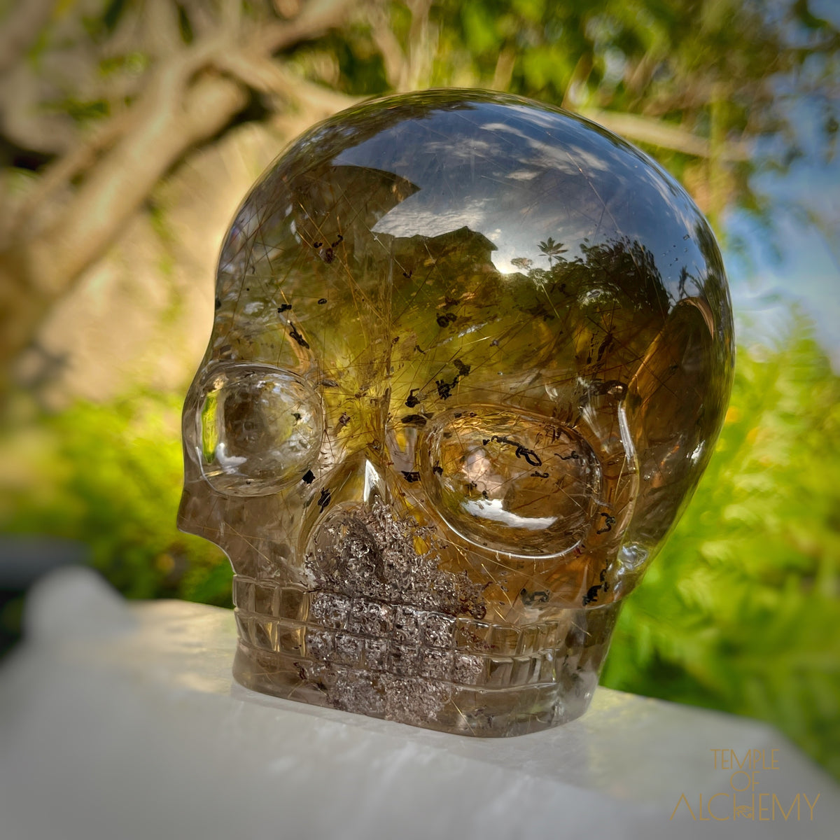 Smoky Citrine x Lodolite x Copper Rutiles