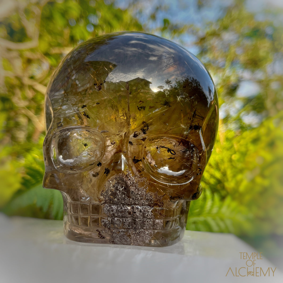 Smoky Citrine x Lodolite x Copper Rutiles