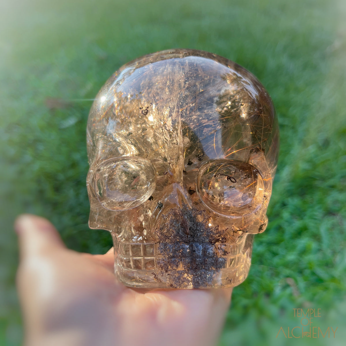 Smoky Citrine x Lodolite x Copper Rutiles