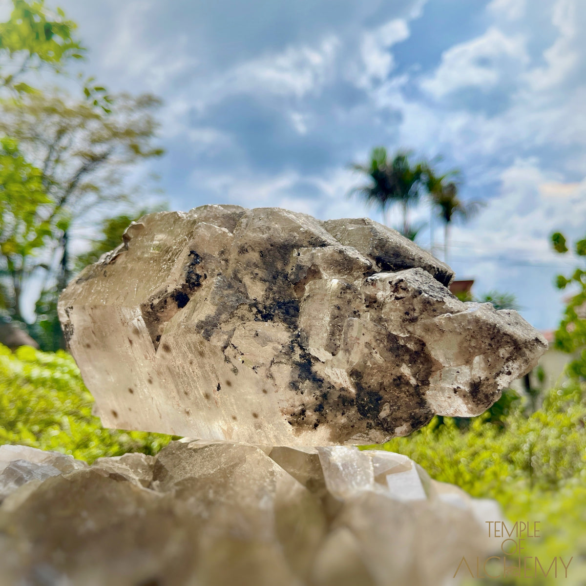 Coming Soon * Mystic's Treasure