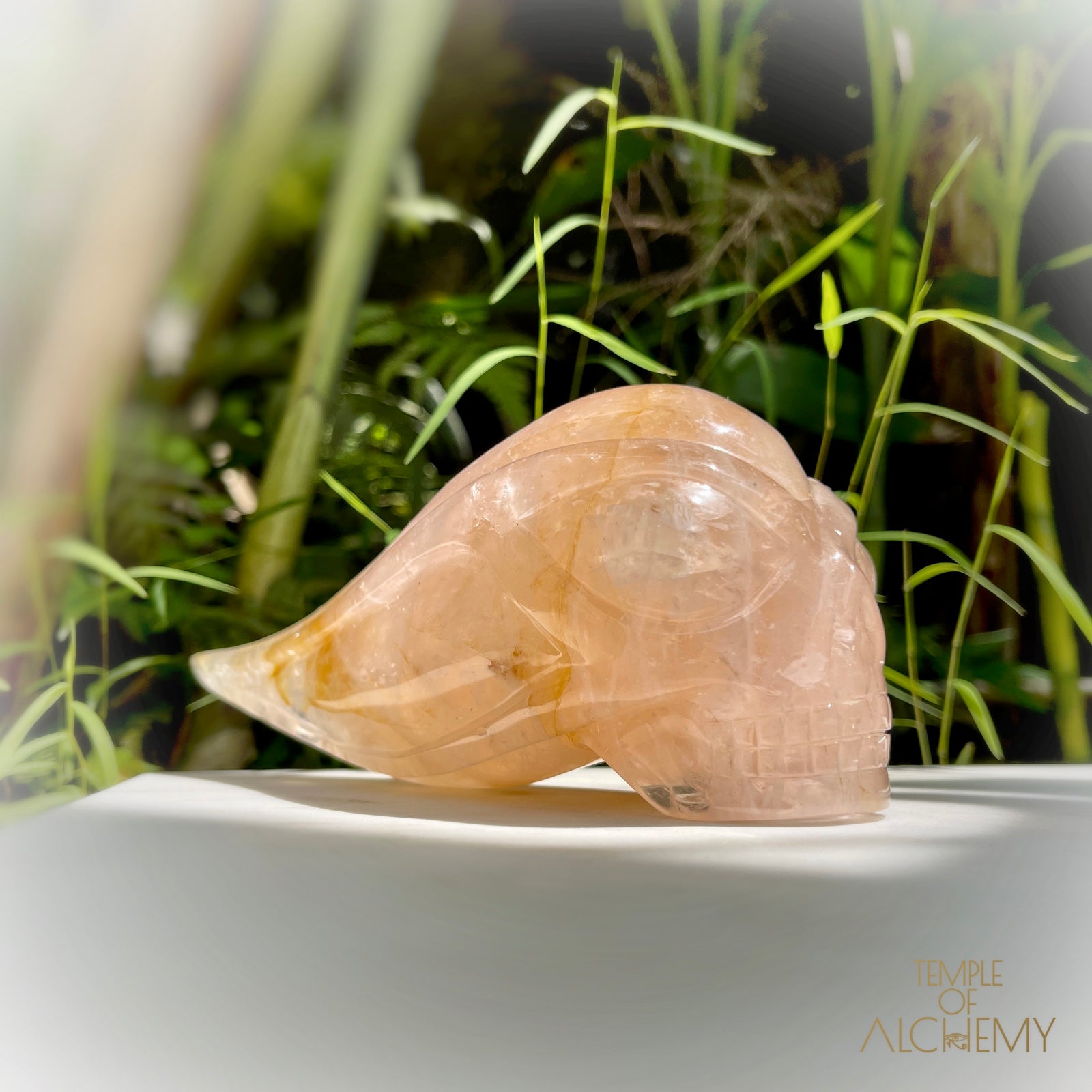 Rose Quartz x Golden Healer