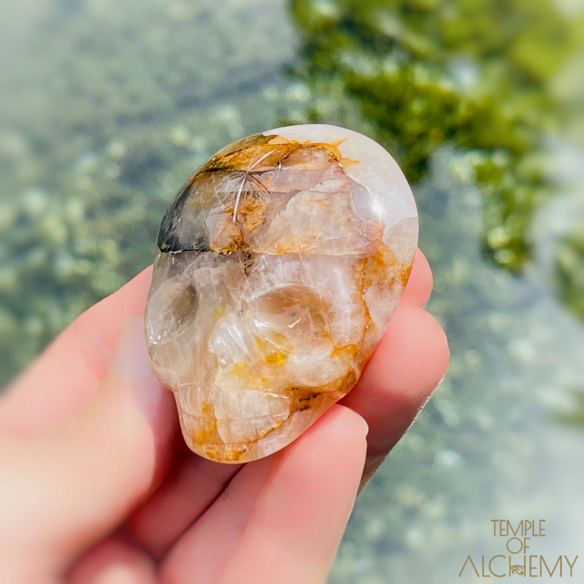 Green Chlorite x Golden Healer x Milky Quartz