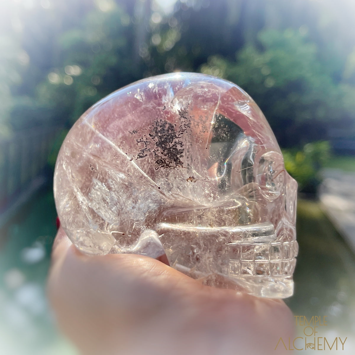 Golden x Copper Rutiles + Chlorite in Citrine