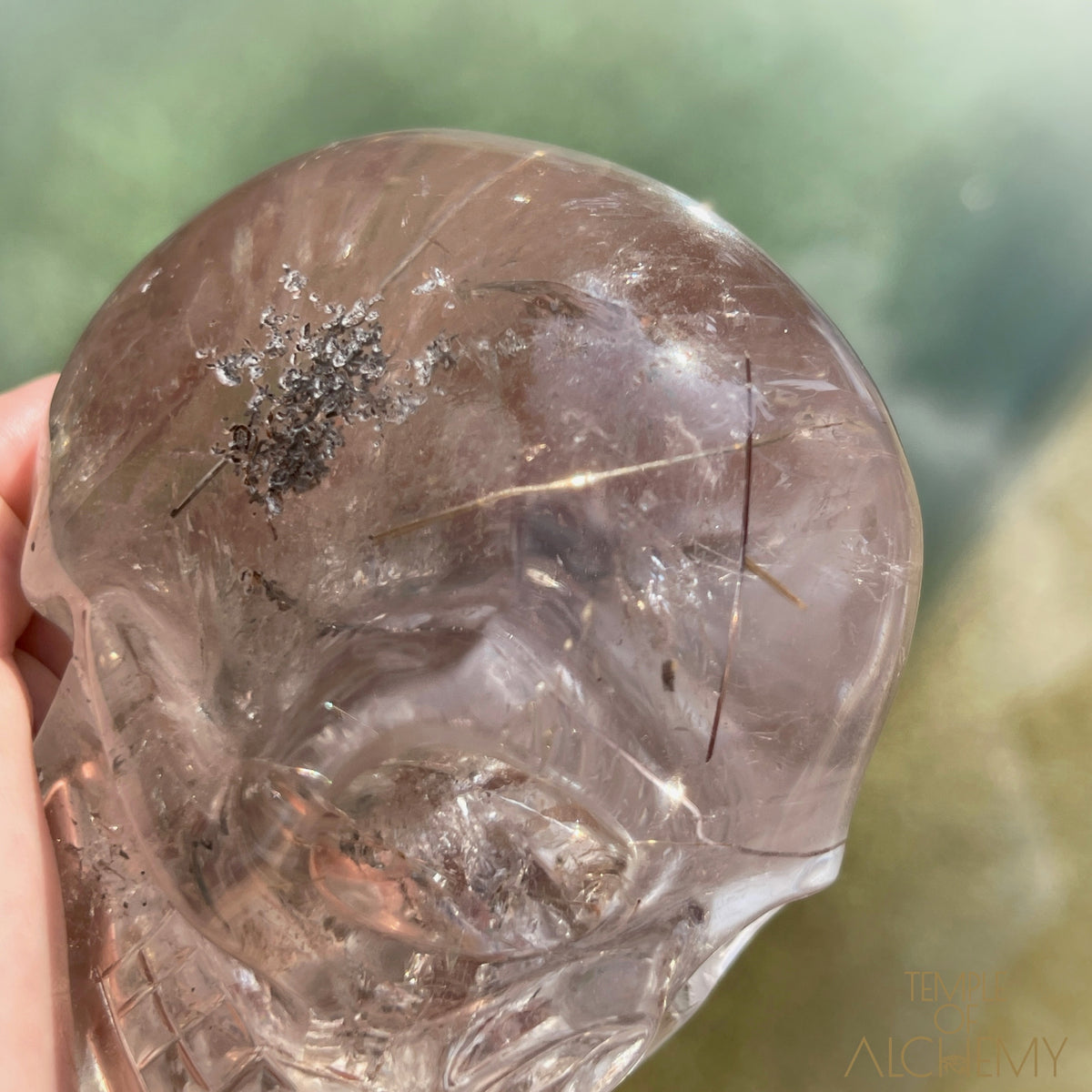 Golden x Copper Rutiles + Chlorite in Citrine