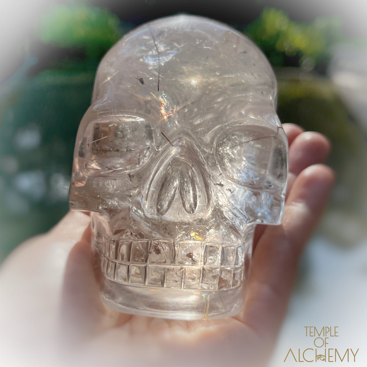 Golden x Copper Rutiles + Chlorite in Citrine