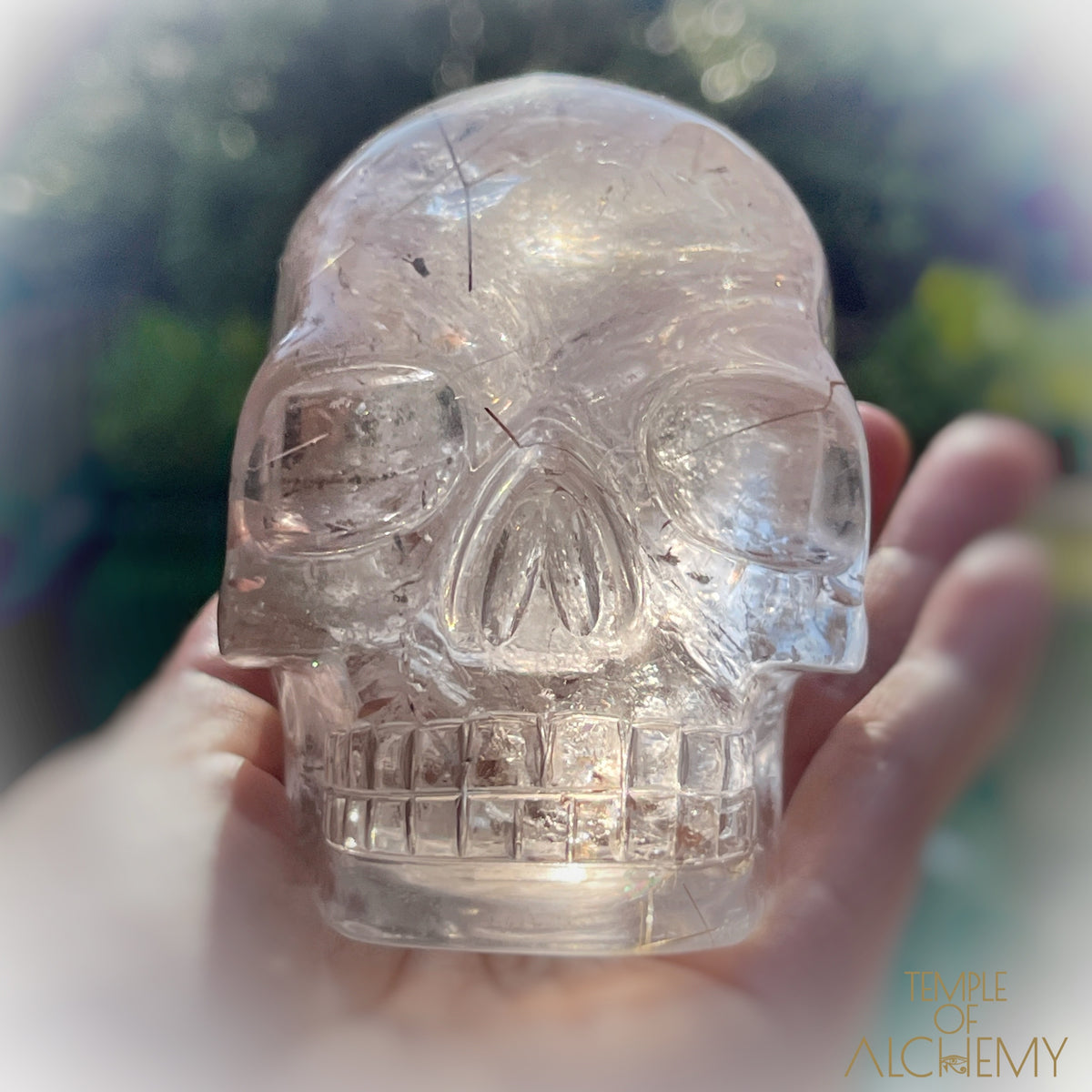 Golden x Copper Rutiles + Chlorite in Citrine