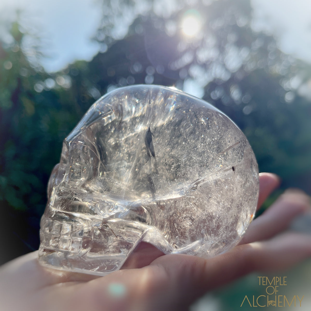 Golden x Copper Rutiles + Chlorite in Citrine