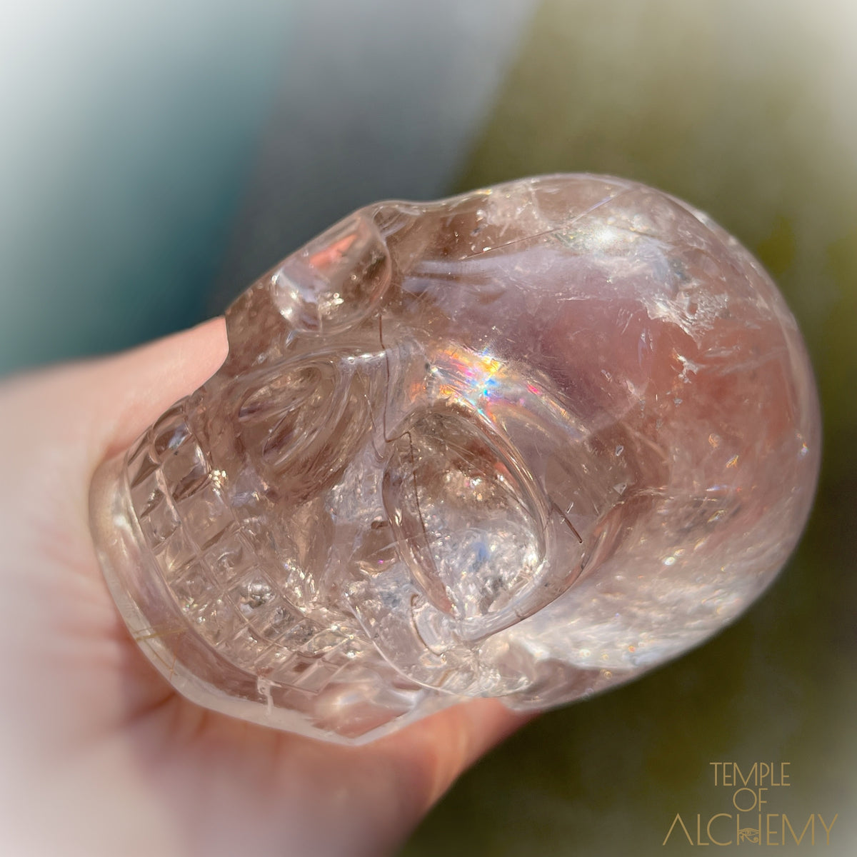 Golden x Copper Rutiles + Chlorite in Citrine