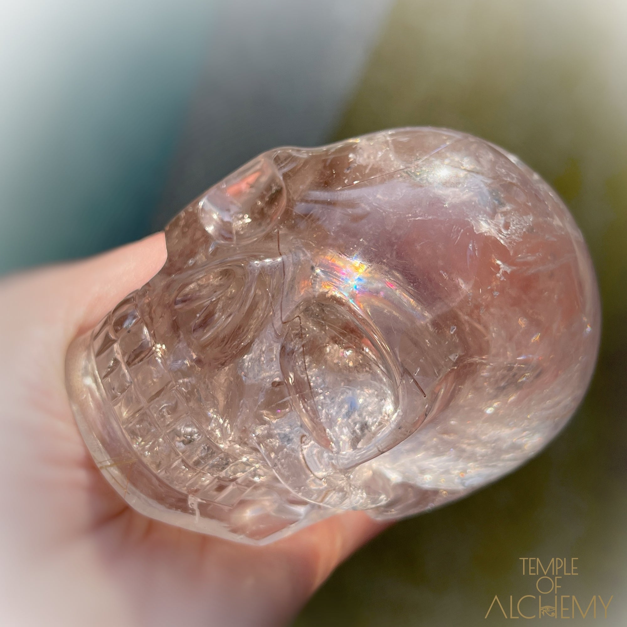 Golden x Copper Rutiles + Chlorite in Citrine