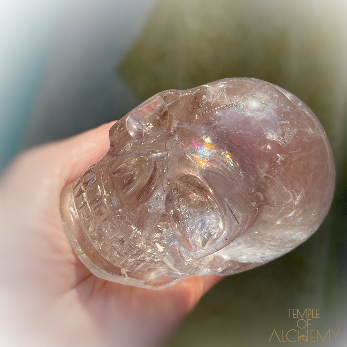 Golden x Copper Rutiles + Chlorite in Citrine