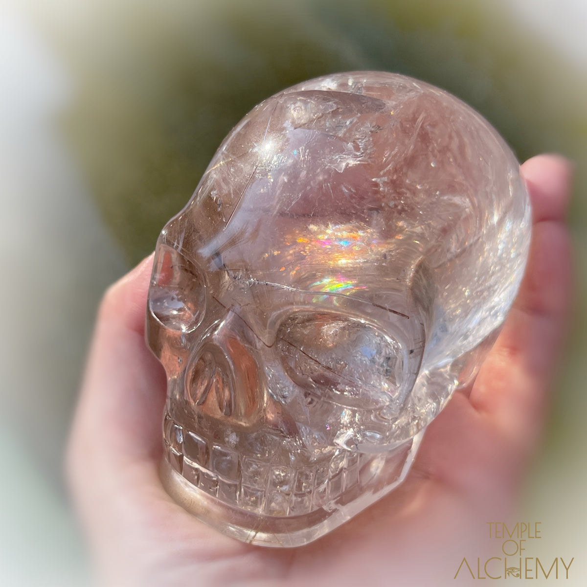 Golden x Copper Rutiles + Chlorite in Citrine