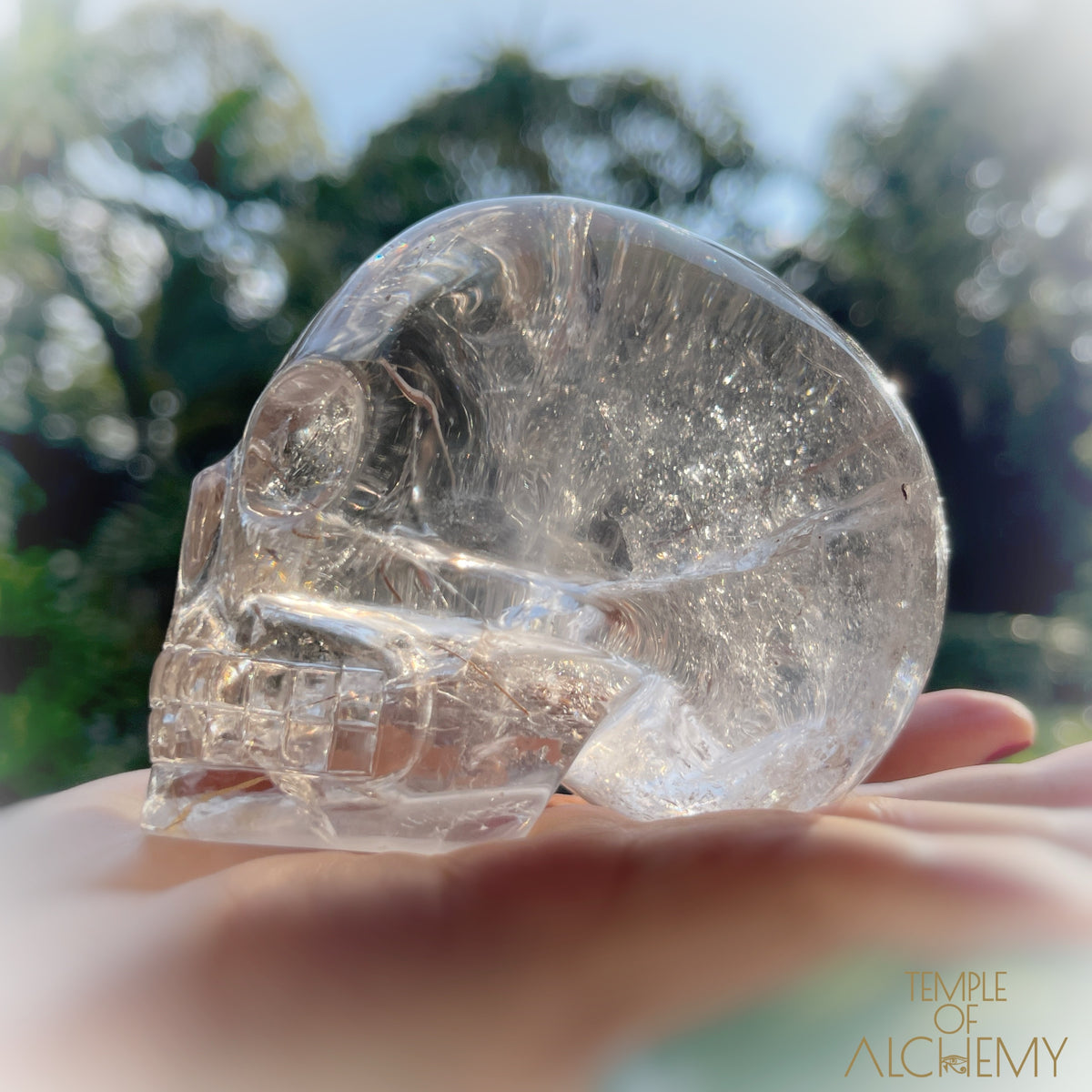 Golden x Copper Rutiles + Chlorite in Citrine