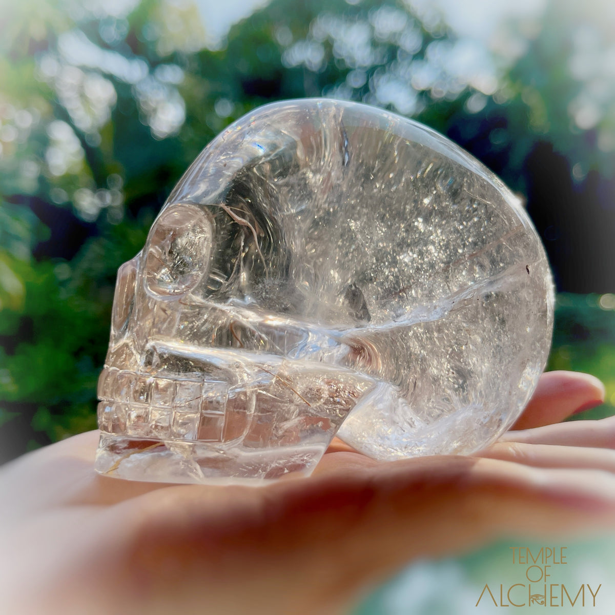 Golden x Copper Rutiles + Chlorite in Citrine