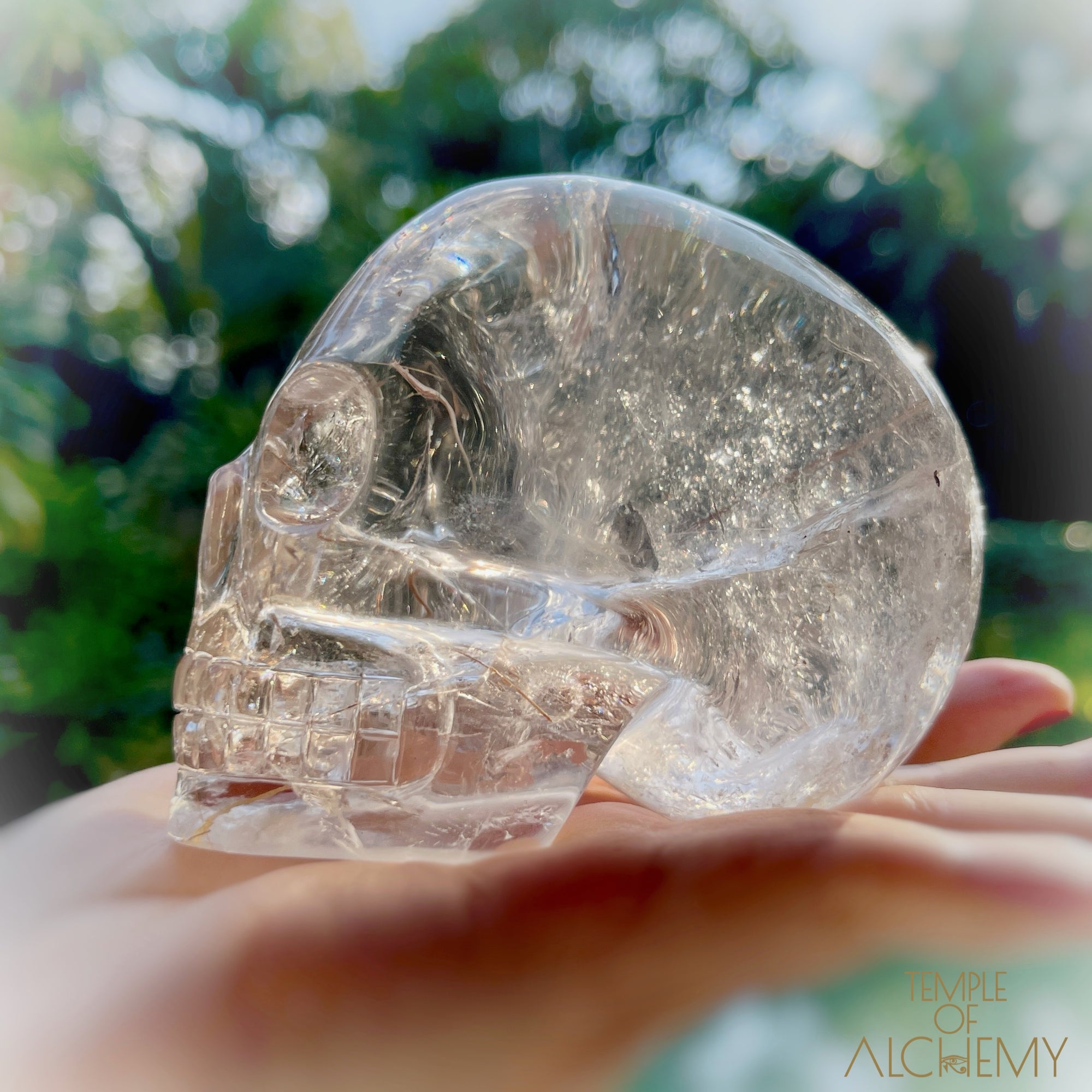 Golden x Copper Rutiles + Chlorite in Citrine