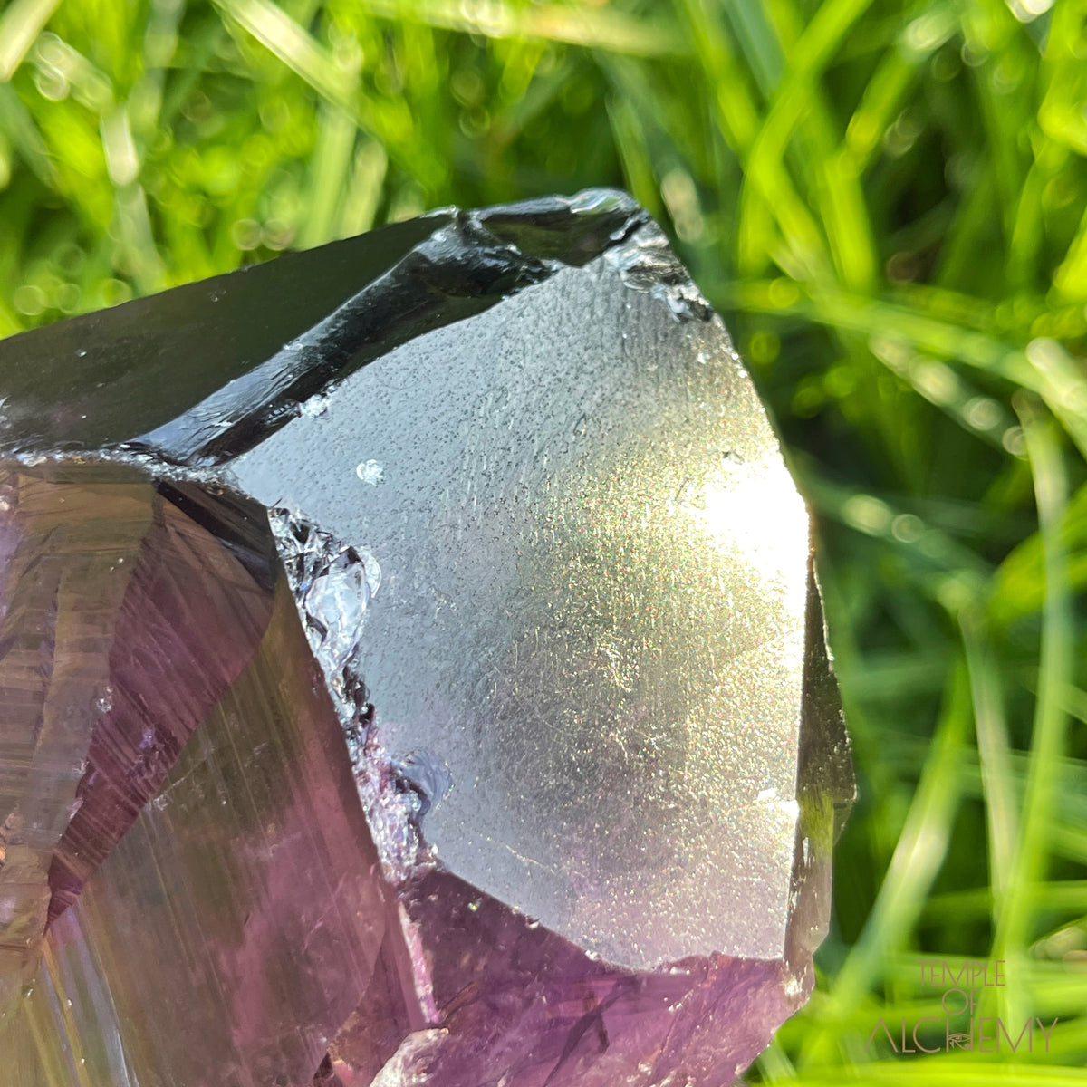 Amethyst + Record Keepers + 🌈