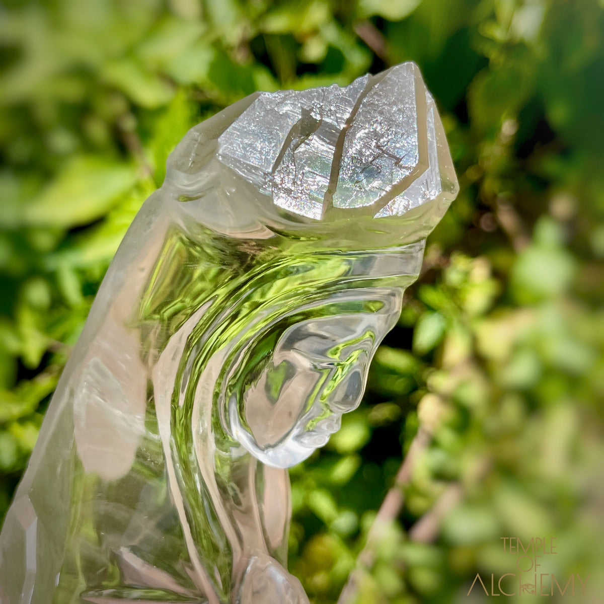 Ascension 𓄂♡𓆃 Record Keeper Citrine Cathedral Lightbrary