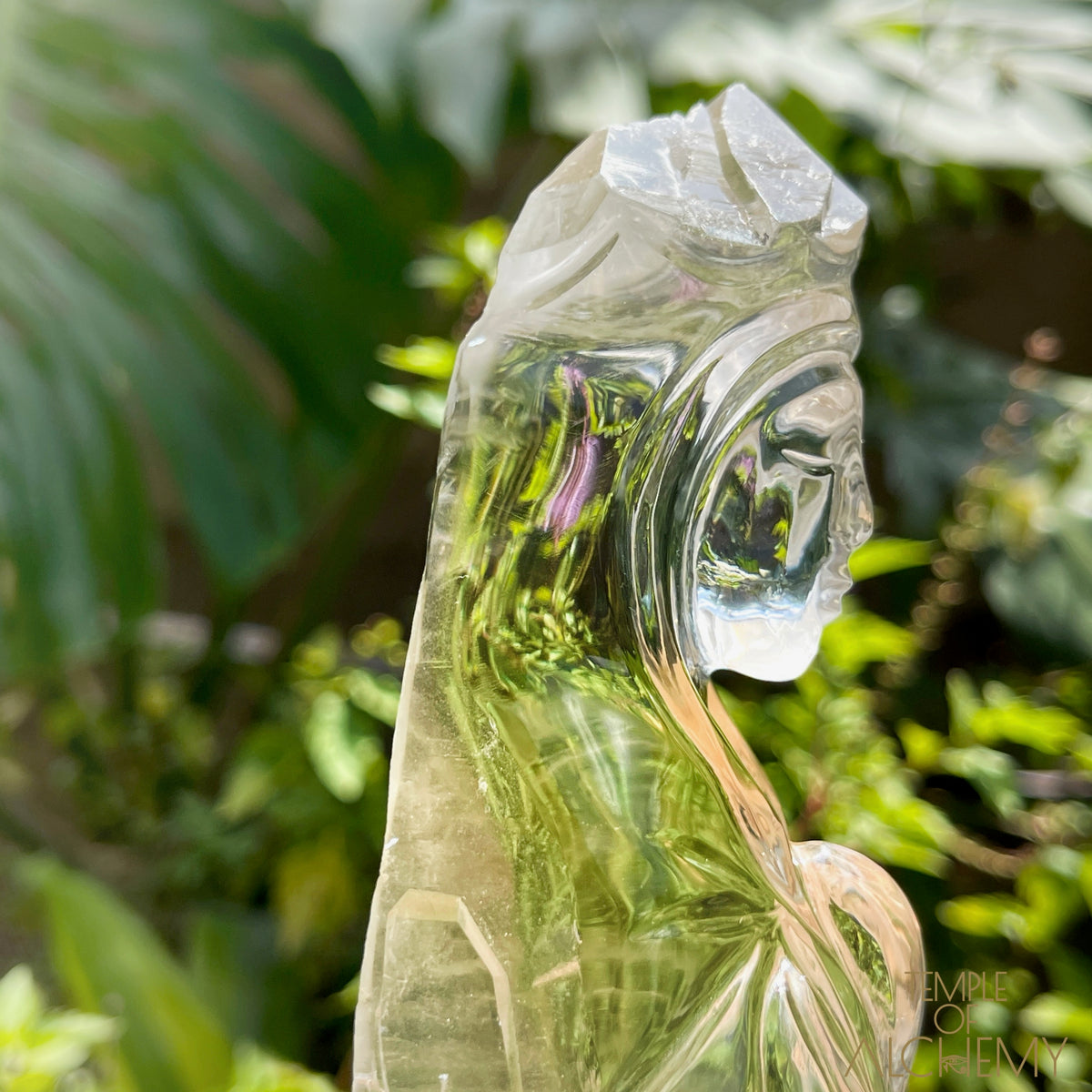 Ascension 𓄂♡𓆃 Record Keeper Citrine Cathedral Lightbrary