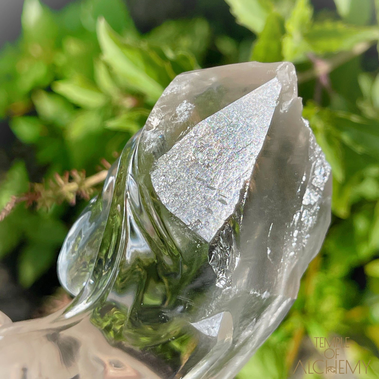 Ascension 𓄂♡𓆃 Record Keeper Citrine Cathedral Lightbrary