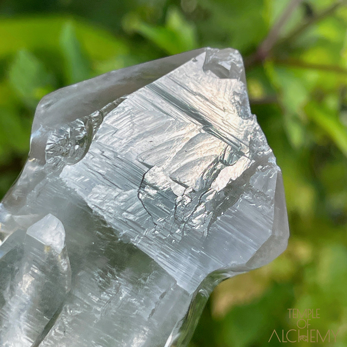 Ascension 𓄂♡𓆃 Record Keeper Citrine Cathedral Lightbrary