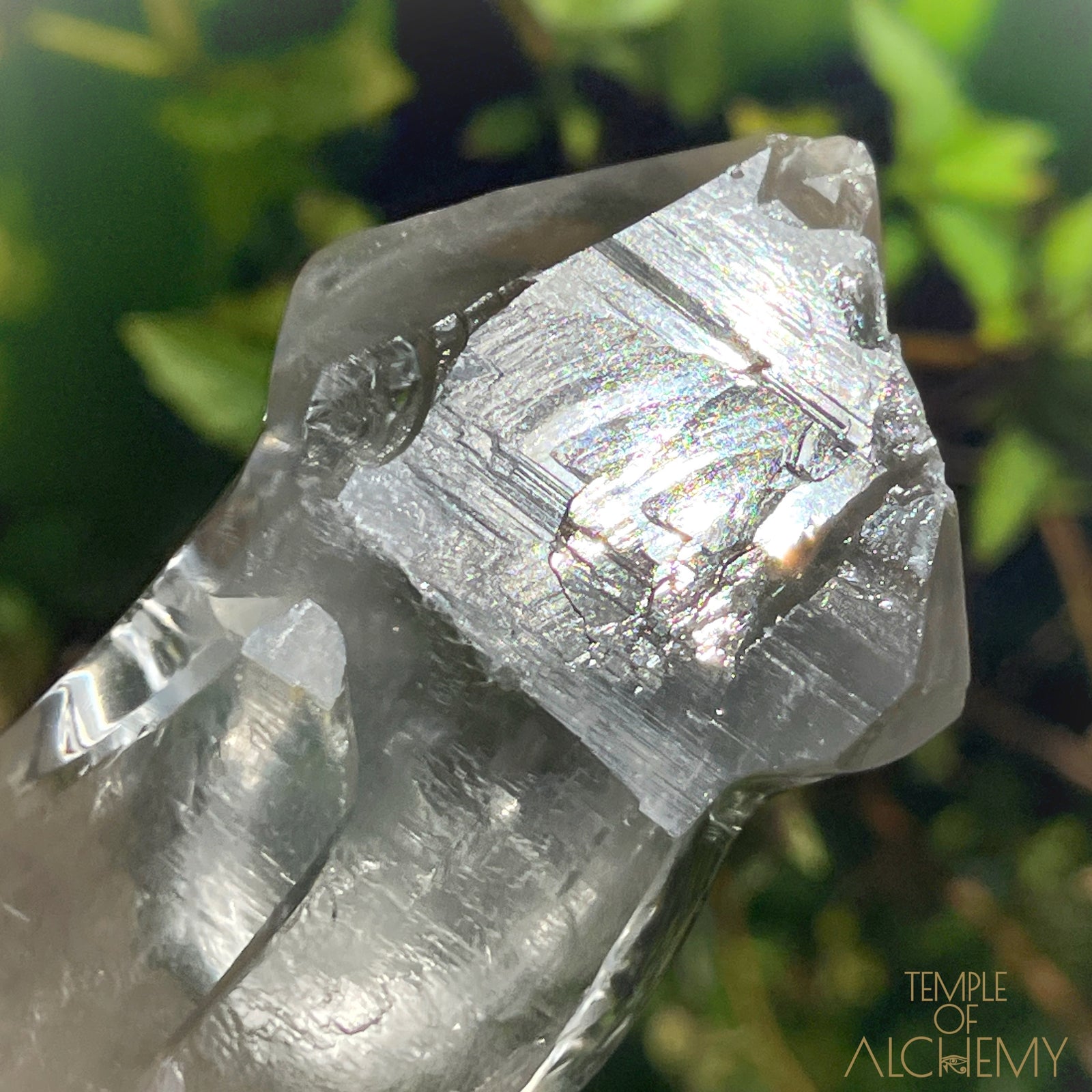 Ascension 𓄂♡𓆃 Record Keeper Citrine Cathedral Lightbrary