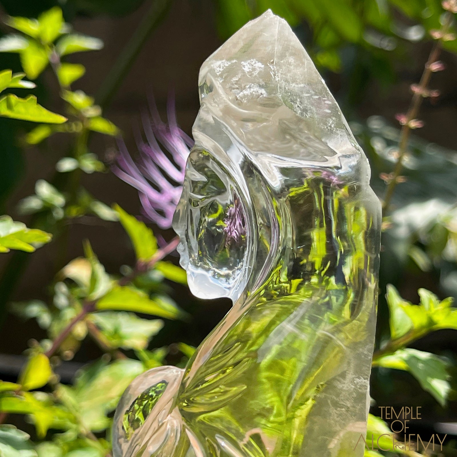 Ascension 𓄂♡𓆃 Record Keeper Citrine Cathedral Lightbrary