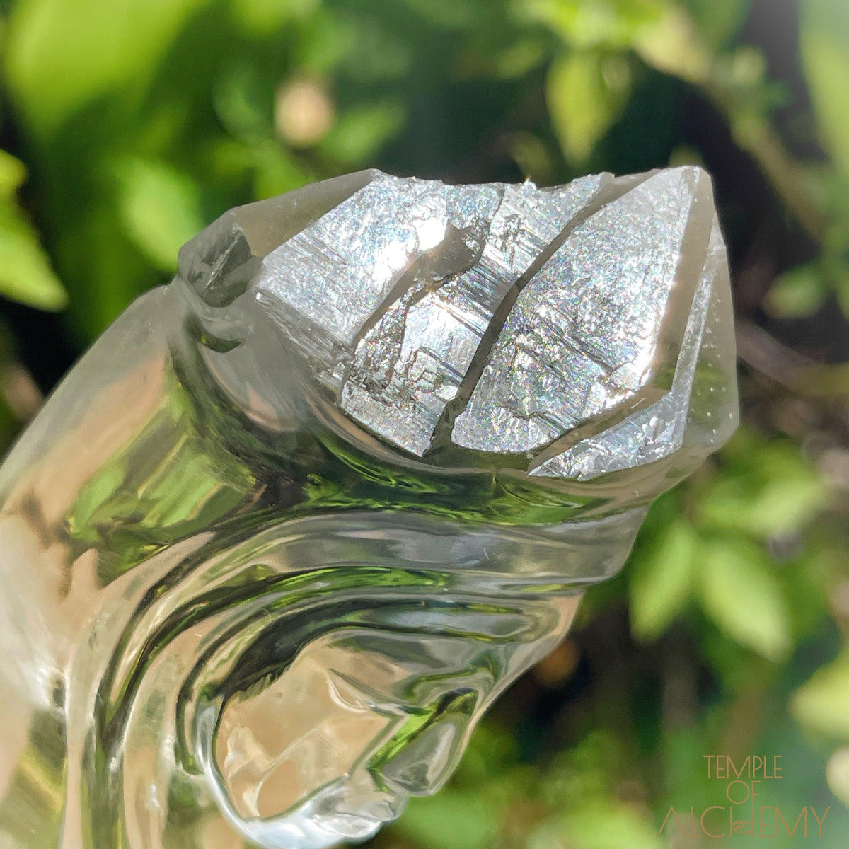 Ascension 𓄂♡𓆃 Record Keeper Citrine Cathedral Lightbrary