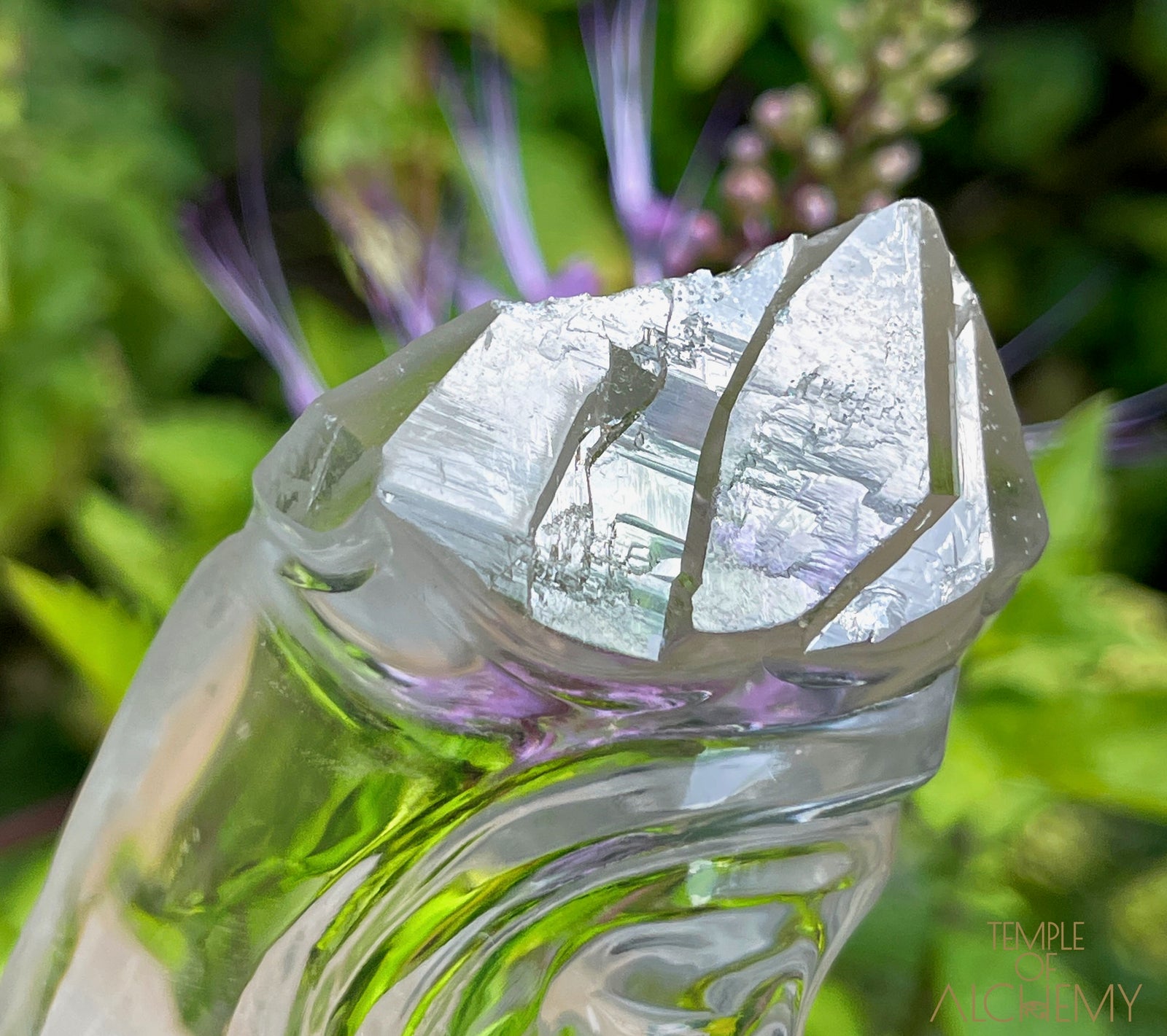 Ascension 𓄂♡𓆃 Record Keeper Citrine Cathedral Lightbrary