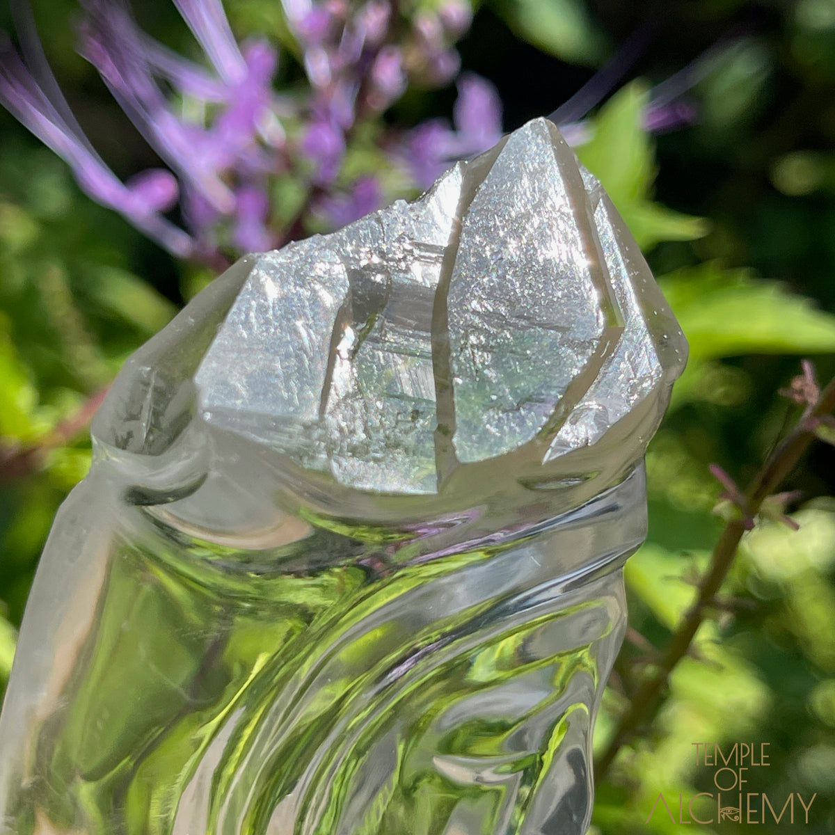 Ascension 𓄂♡𓆃 Record Keeper Citrine Cathedral Lightbrary