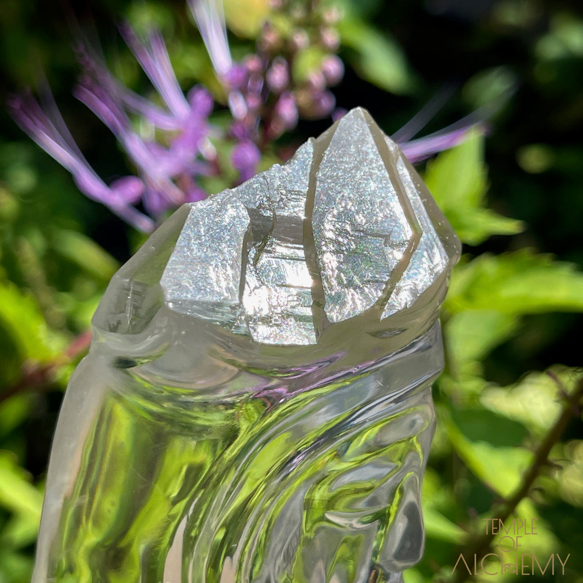 Ascension 𓄂♡𓆃 Record Keeper Citrine Cathedral Lightbrary