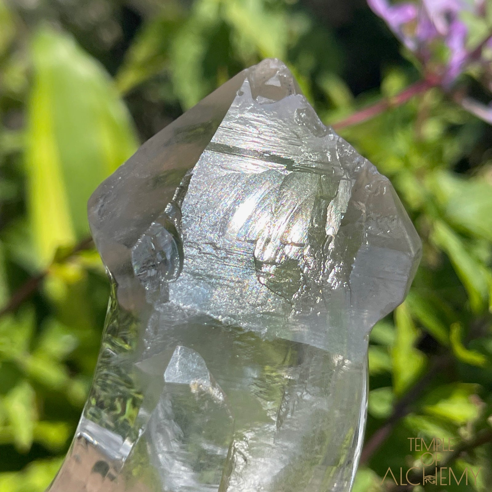 Ascension 𓄂♡𓆃 Record Keeper Citrine Cathedral Lightbrary