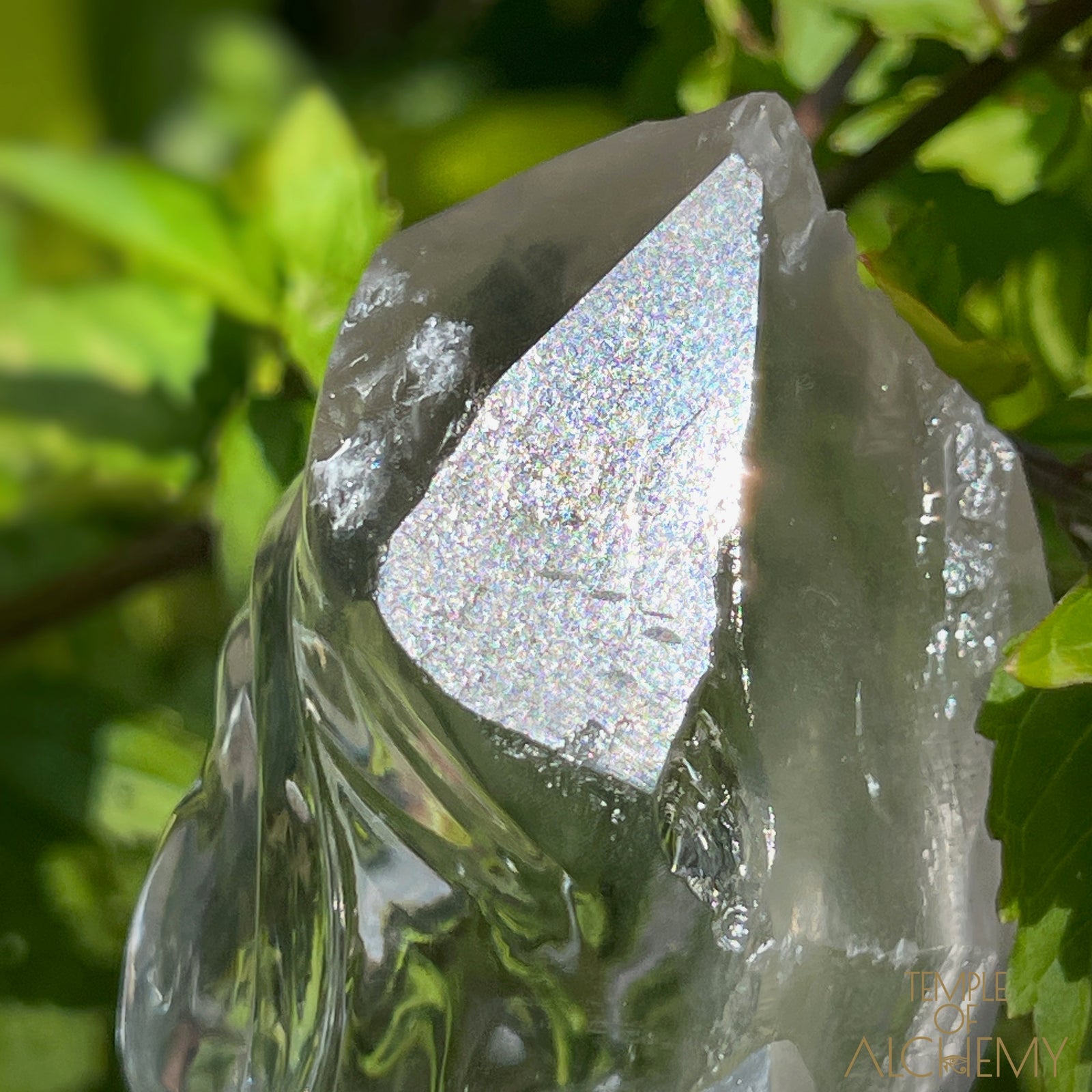 Ascension 𓄂♡𓆃 Record Keeper Citrine Cathedral Lightbrary