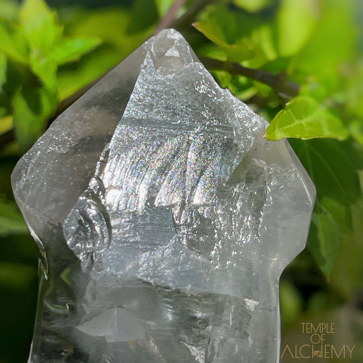 Ascension 𓄂♡𓆃 Record Keeper Citrine Cathedral Lightbrary