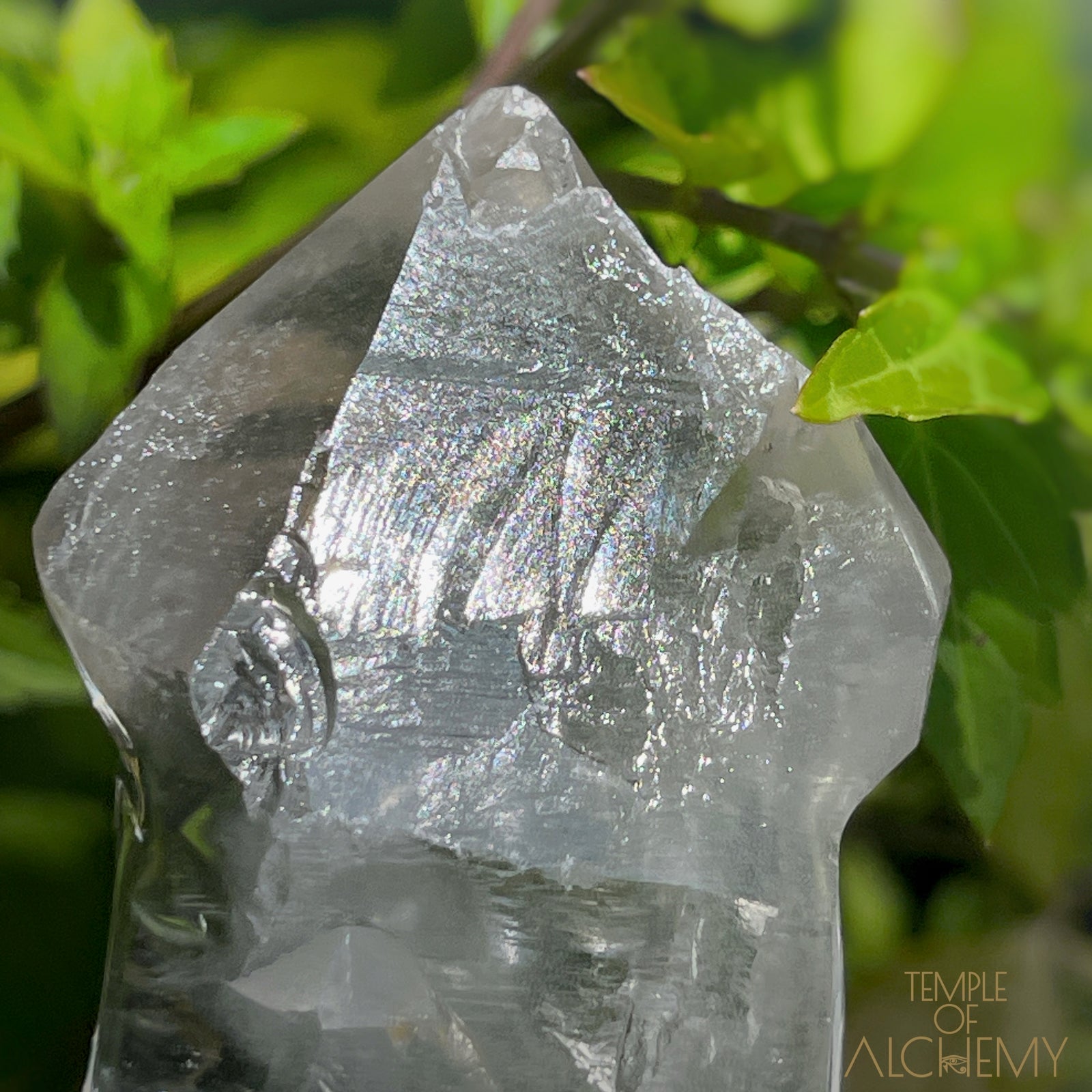 Ascension 𓄂♡𓆃 Record Keeper Citrine Cathedral Lightbrary