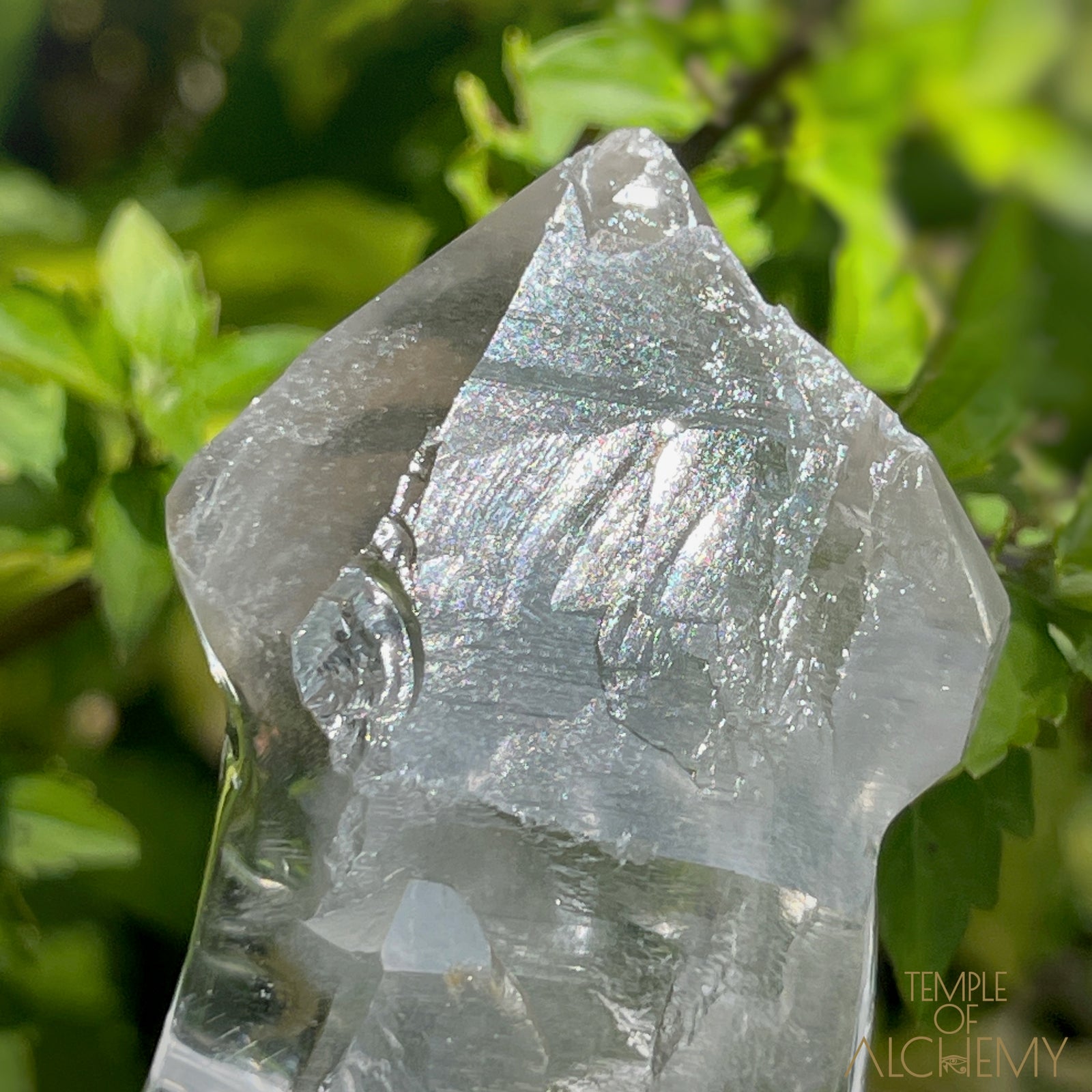 Ascension 𓄂♡𓆃 Record Keeper Citrine Cathedral Lightbrary