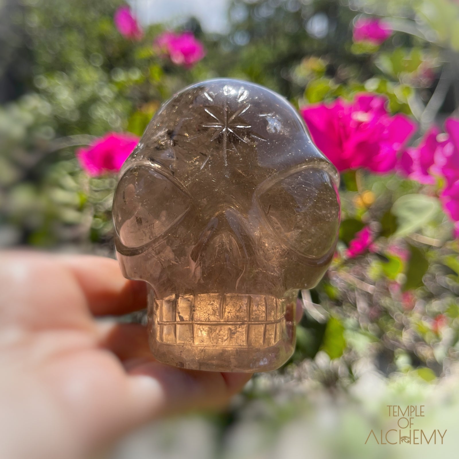 Smoky Citrine x Golden Rutiles