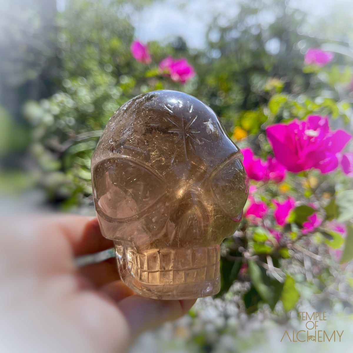 Smoky Citrine x Golden Rutiles