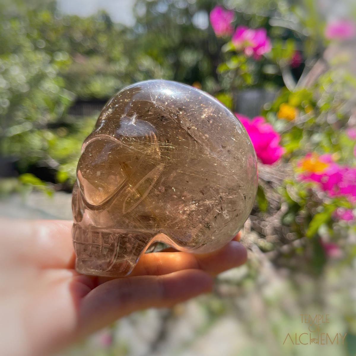 Smoky Citrine x Golden Rutiles