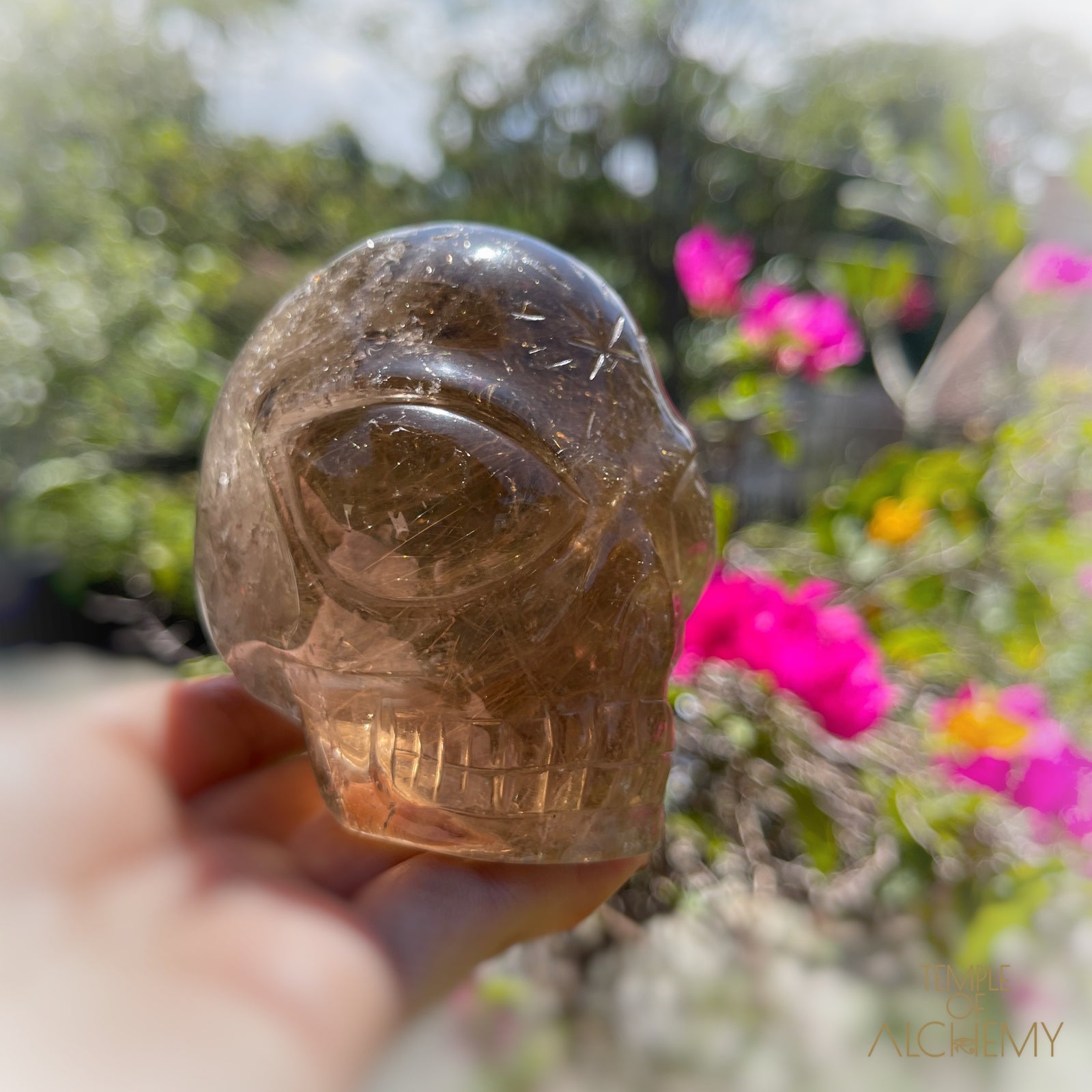 Smoky Citrine x Golden Rutiles