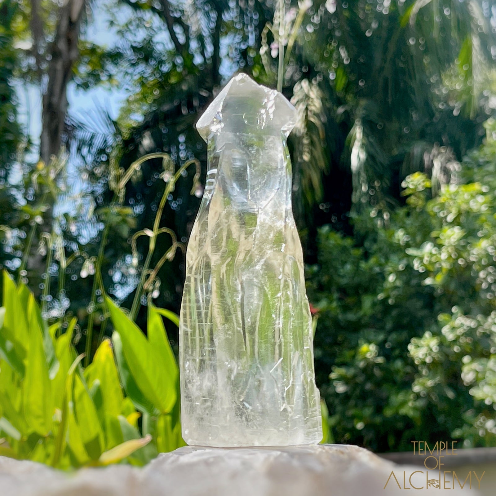 Ascension 𓄂♡𓆃 Record Keeper Citrine Cathedral Lightbrary