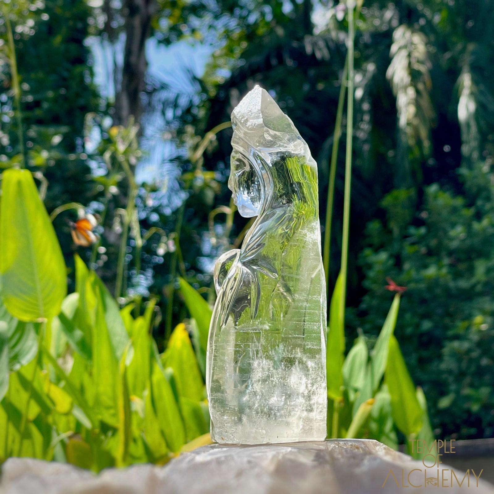 Ascension 𓄂♡𓆃 Record Keeper Citrine Cathedral Lightbrary