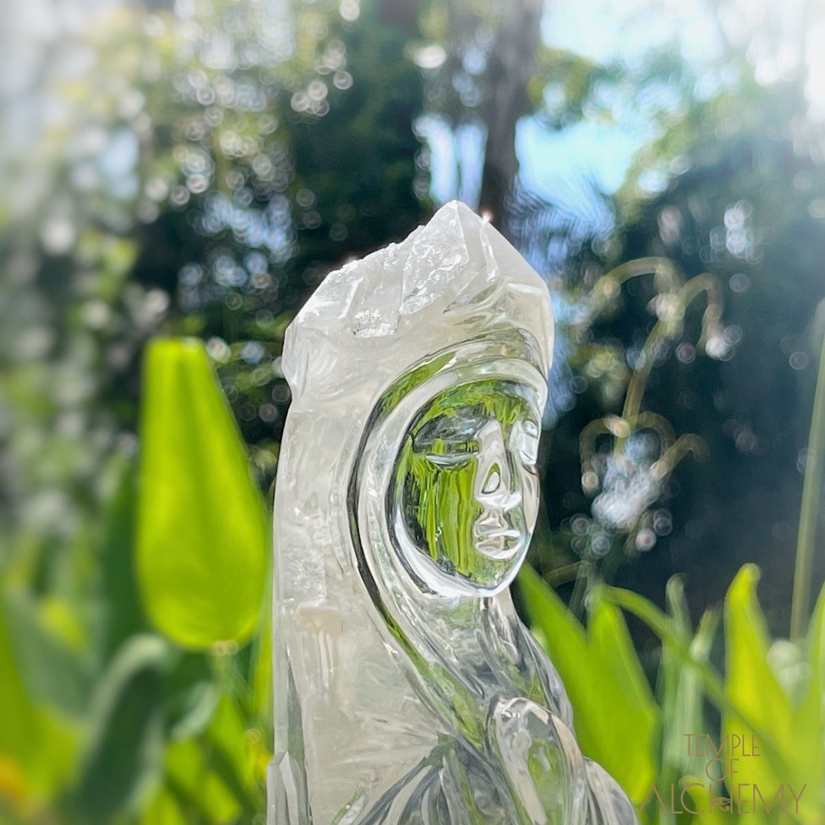 Ascension 𓄂♡𓆃 Record Keeper Citrine Cathedral Lightbrary