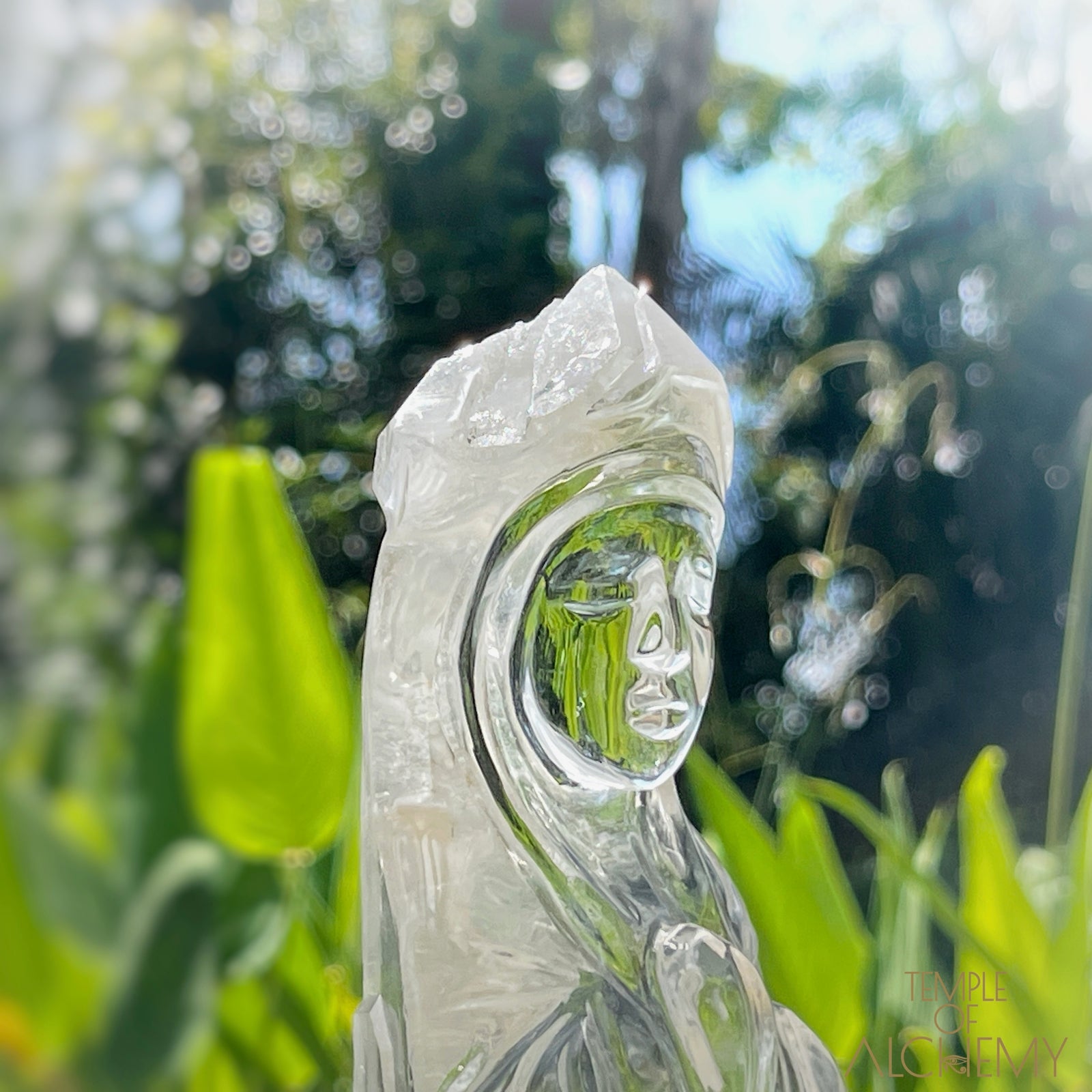 Ascension 𓄂♡𓆃 Record Keeper Citrine Cathedral Lightbrary