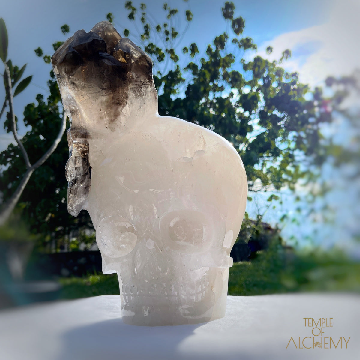 * Reserved * Andre & Gina 𓆃 Warrior #194 : The Awakening of the Warrior Queen