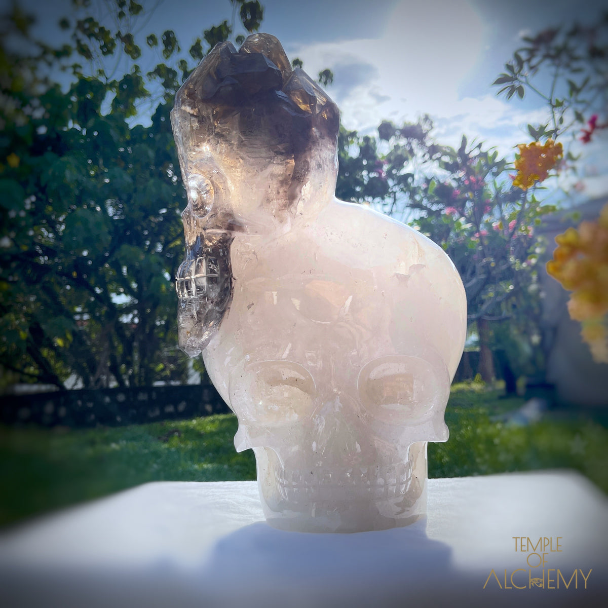 * Reserved * Andre & Gina 𓆃 Warrior #194 : The Awakening of the Warrior Queen