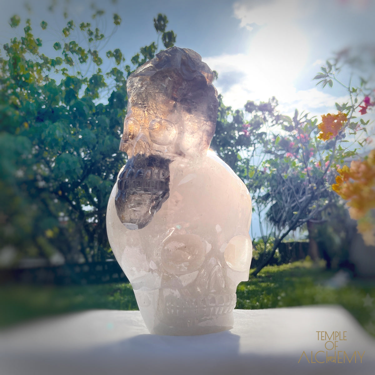 * Reserved * Andre & Gina 𓆃 Warrior #194 : The Awakening of the Warrior Queen