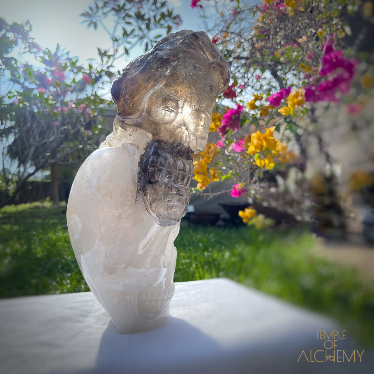 * Reserved * Andre & Gina 𓆃 Warrior #194 : The Awakening of the Warrior Queen